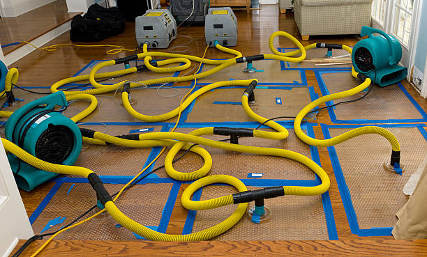 Professional Water Damage Restoration technician working in Rogersville, AL